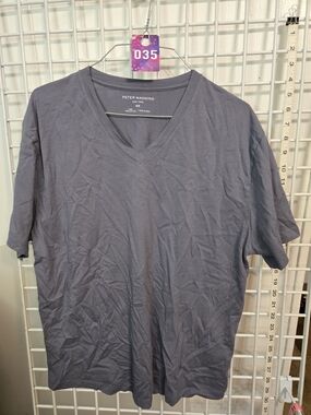 Peter Manning V-Neck T-Shirt — Charcoal Gray, 4X, 100% Peruvian Pima cotton.